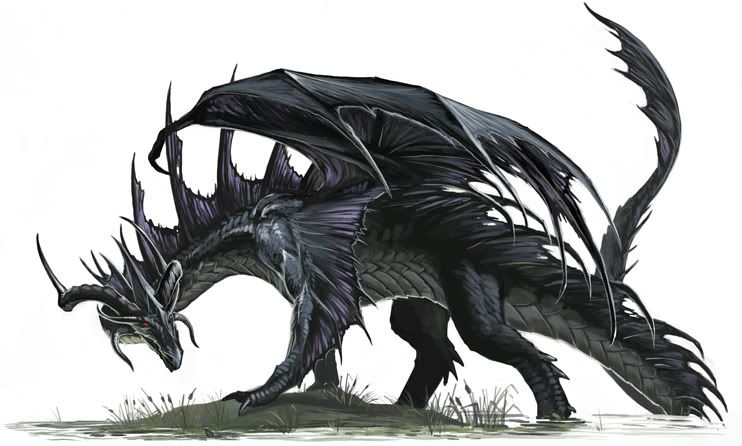 Black Dragon Pictures, Images and Photos
