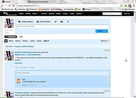 Mint's Homepage - Chrome version