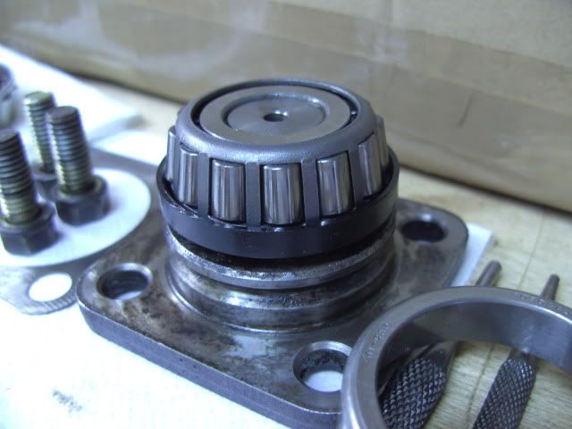 BILD0757.jpg