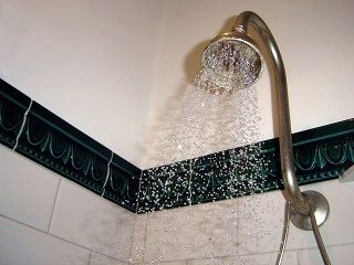  Environmental Aspects of Showers vs. Baths--Myths and Facts