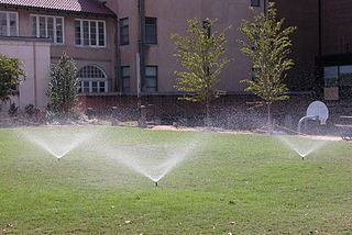 How to Conserve Water in the Summer