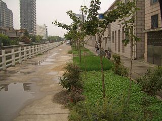 Sustainable Agriculture, Edible Landscaping