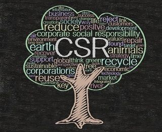 Green Business--Adopting the Correct CSR Strategy