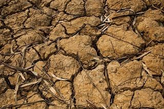California Drought - Adapt or Die?