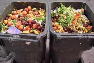Simple Tips On How To Reduce Food Waste