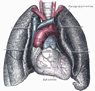 Not a Great Day for Those of You with Lungs