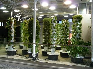 Aeroponics, Fabulous Solution for Sustainable Gardening, Could Be Even Better