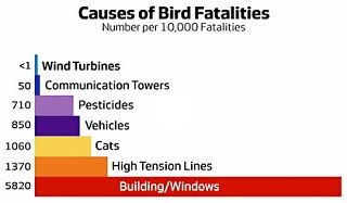 Wind Turbines Are a Danger to Birds and Bats