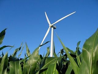 Wind Energy Comes to Iowa—Corn Farming Not Impeded