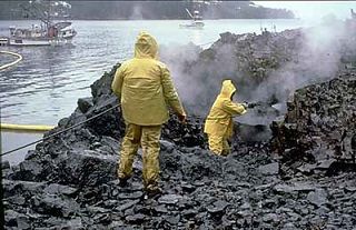 Industrial Accidents Like the BP Oil Spill in the Gulf of Mexico