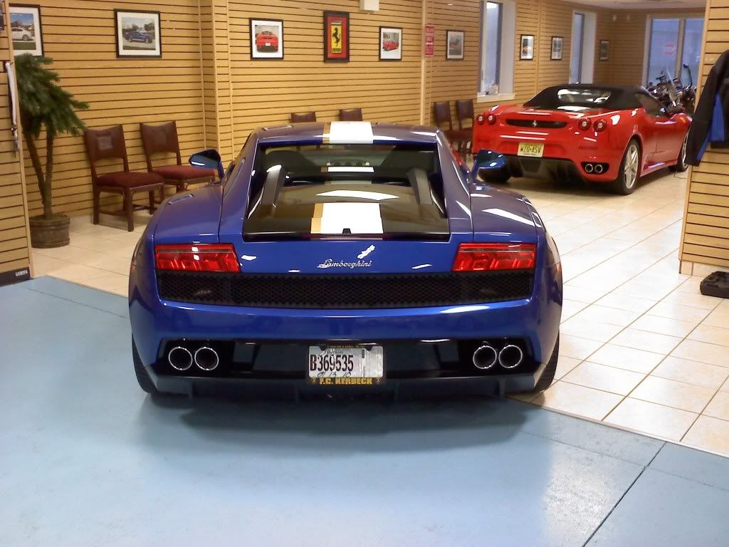 fond of Lamborghini blue