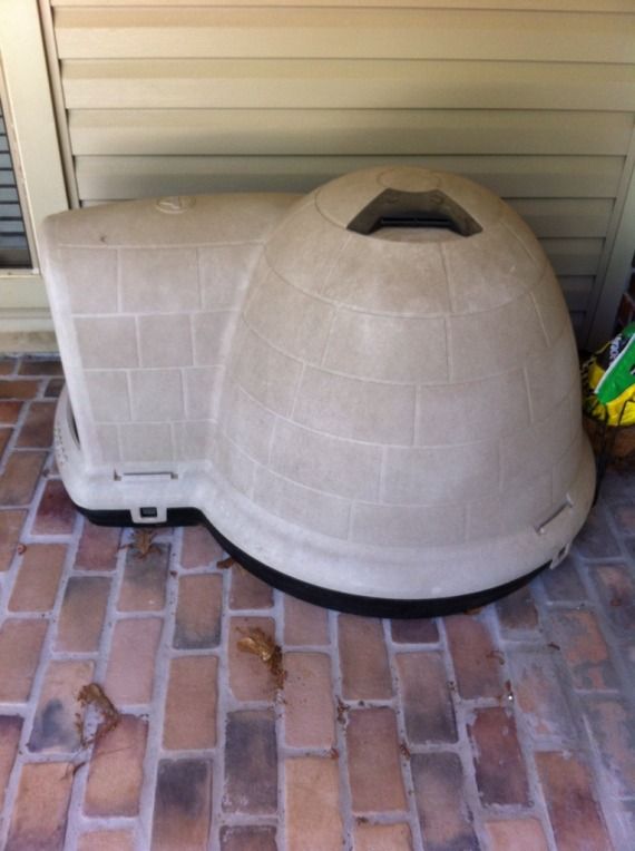 large dogloo dog house