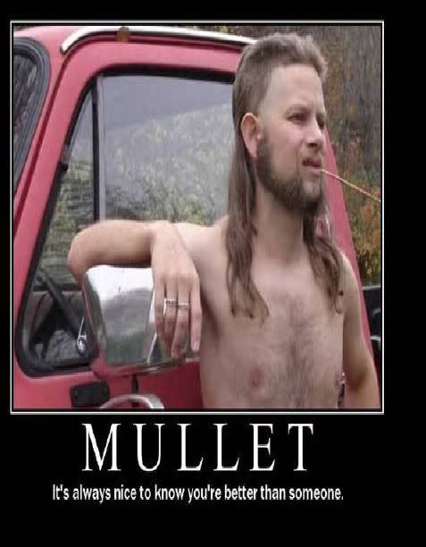 Forum Image: http://i708.photobucket.com/albums/ww87/jtt2701/Motivational_Posters1c.jpg