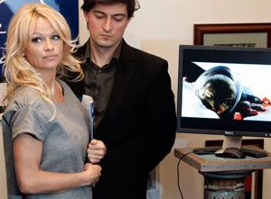 Pamela Anderson defensora de las focas