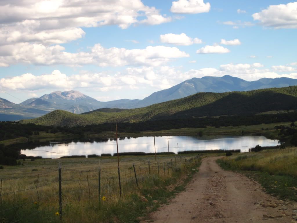 IMG_0545.jpg