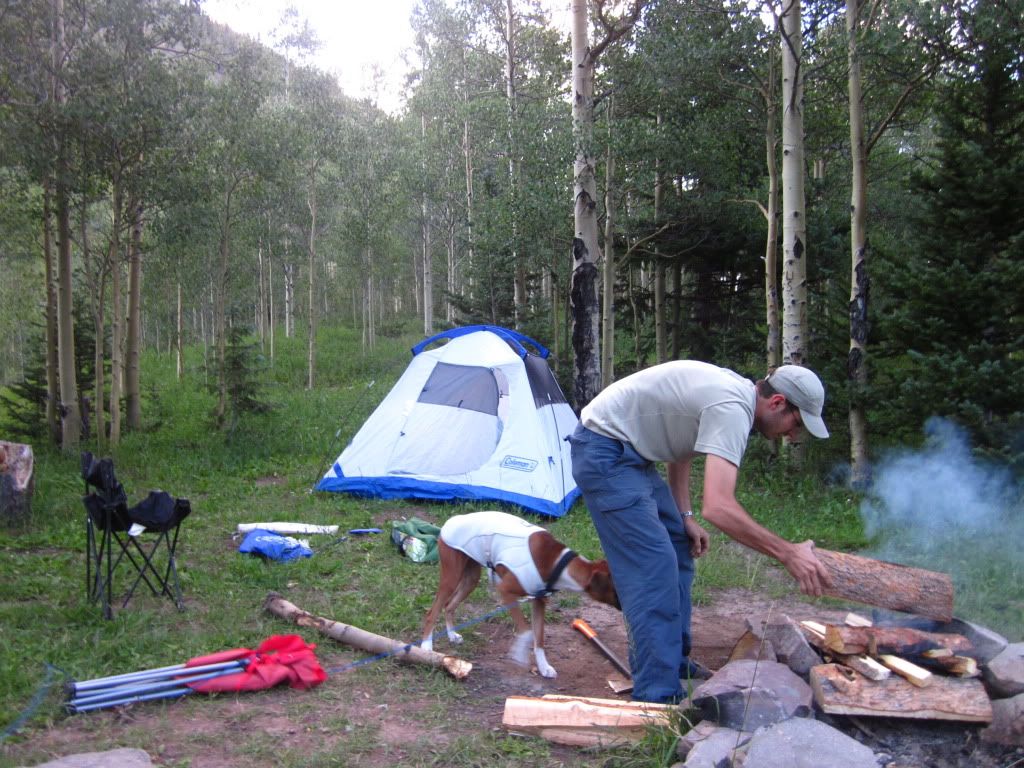 IMG_0584.jpg