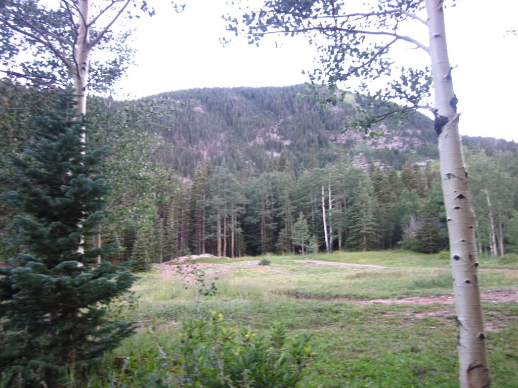 IMG_0587.jpg