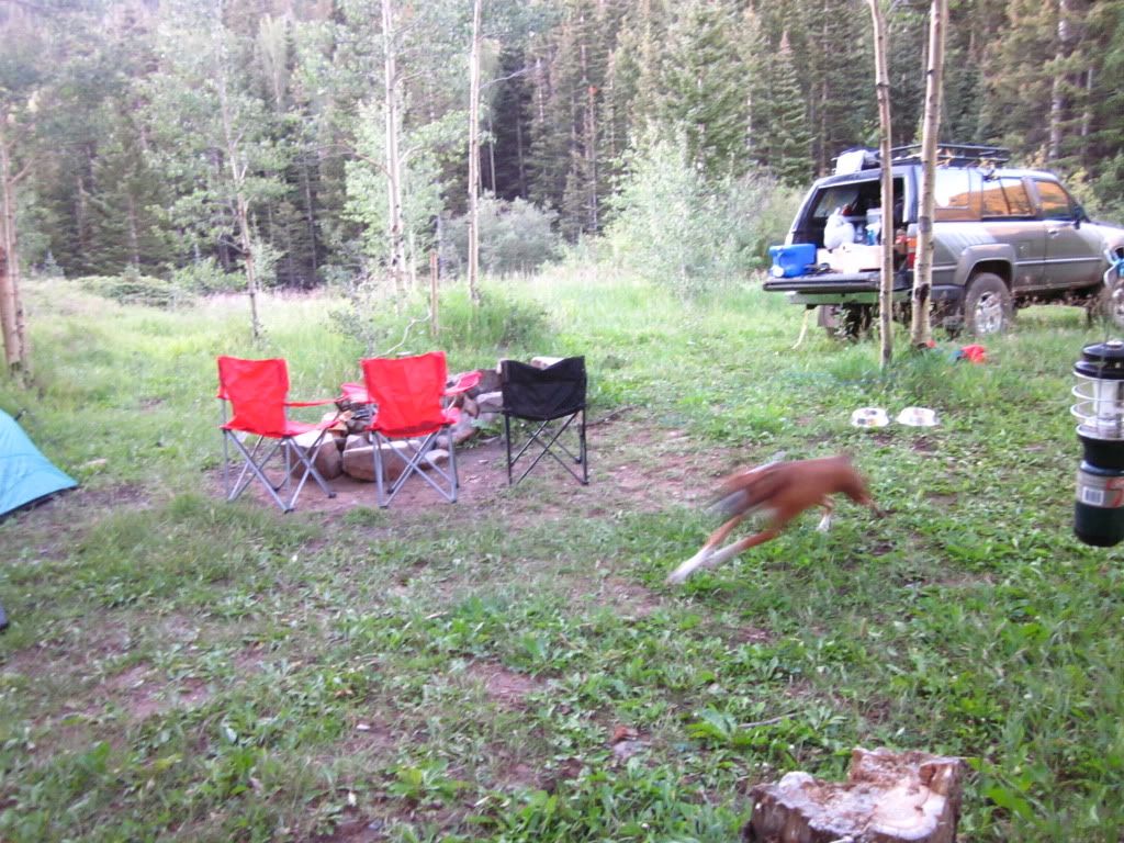 IMG_0652.jpg