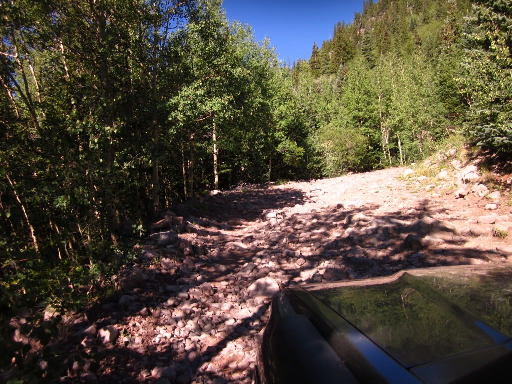 IMG_0682.jpg