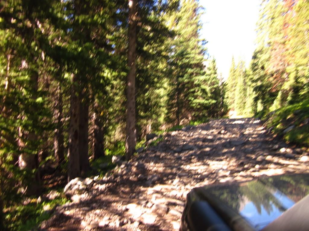 IMG_0685.jpg