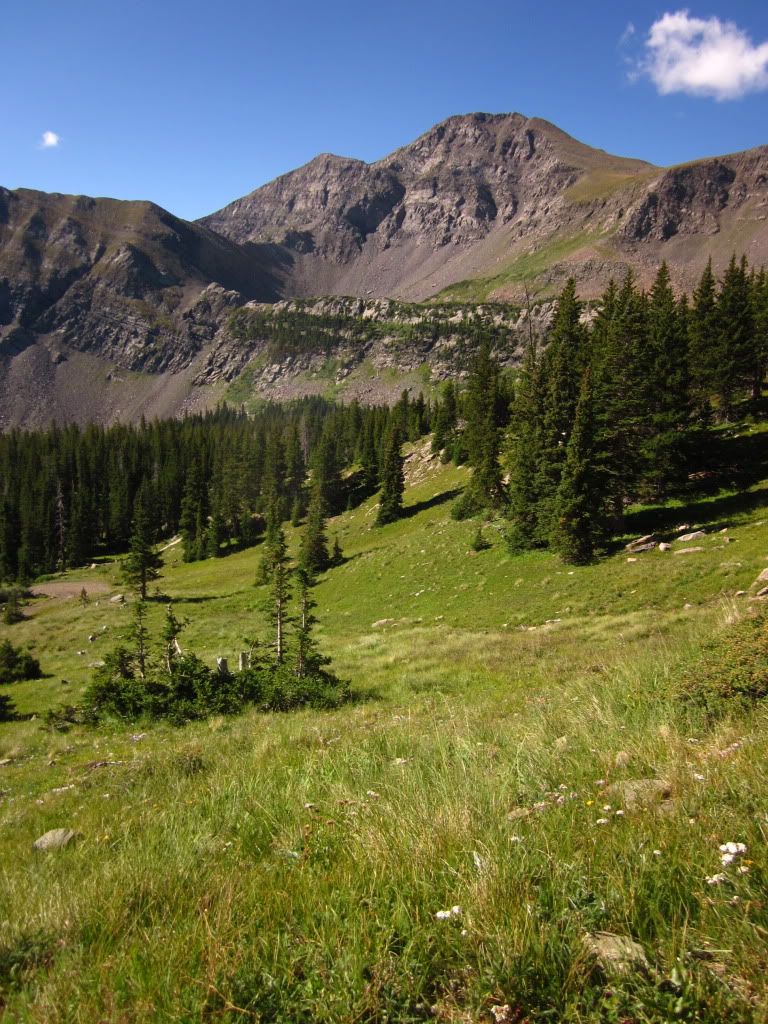 IMG_0699.jpg