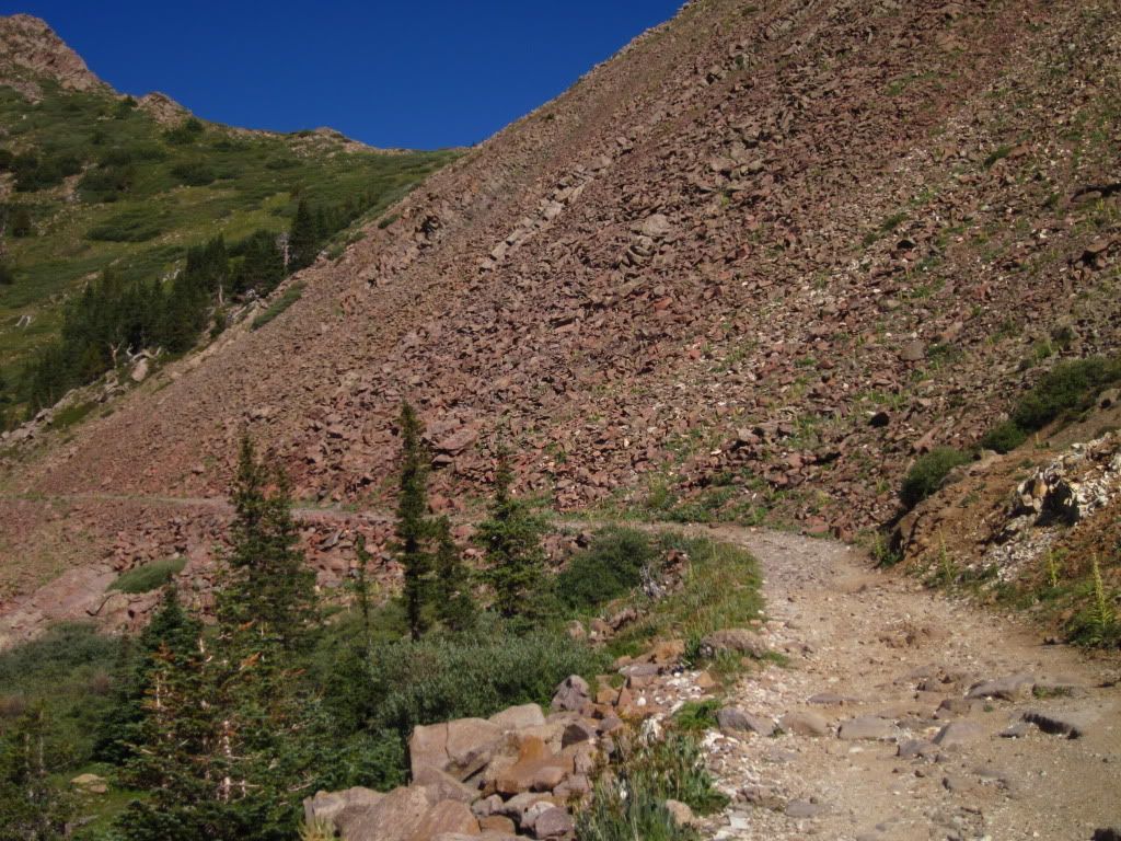 IMG_0703.jpg