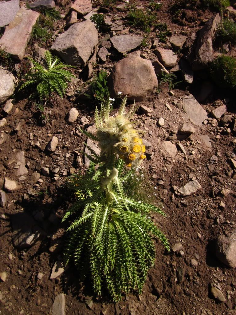 IMG_0711.jpg