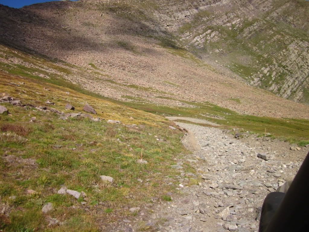 IMG_0769.jpg
