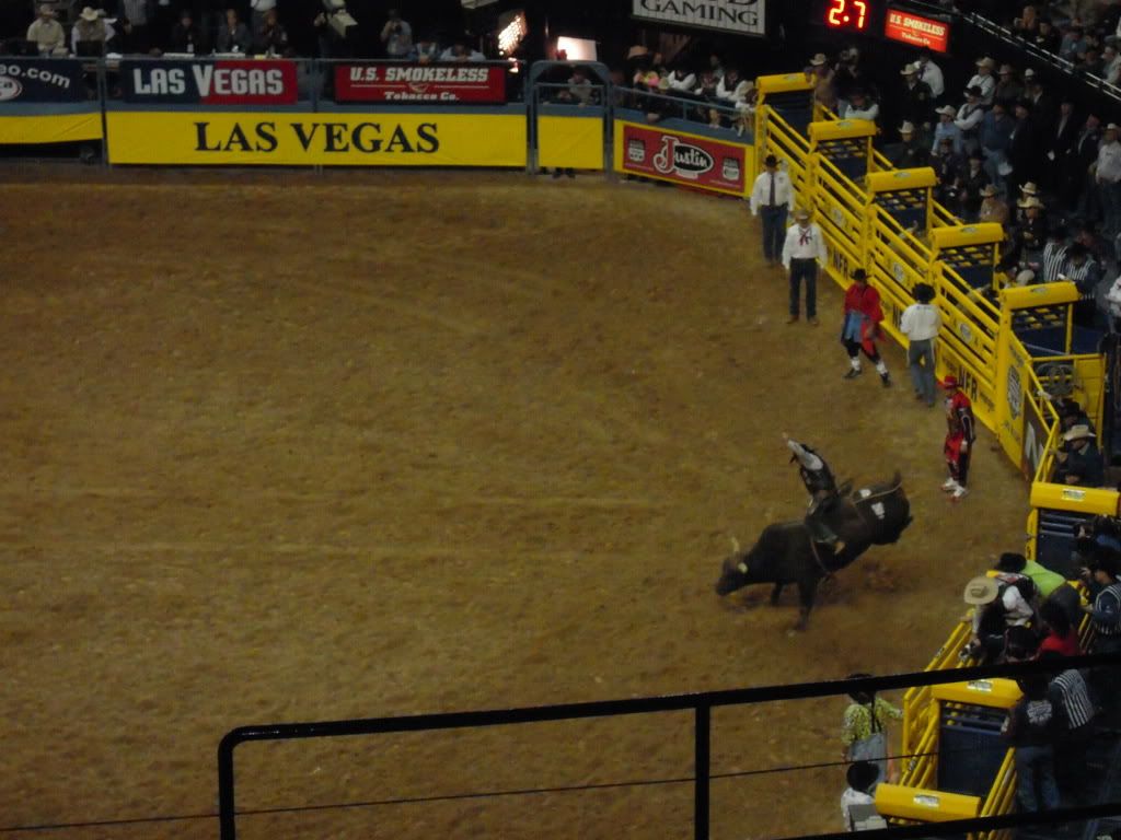 Nfr Arena