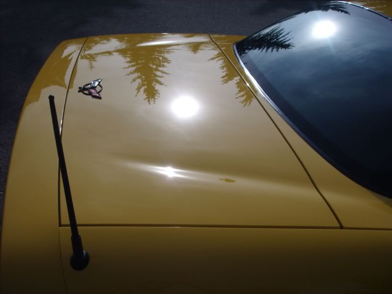 z06d.jpg