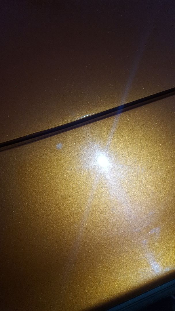 20160827_084245_zpsnppobirf.jpg