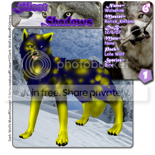 User Image