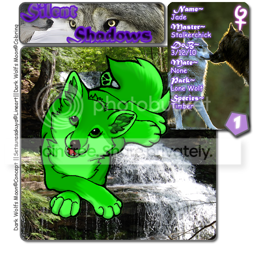 User Image