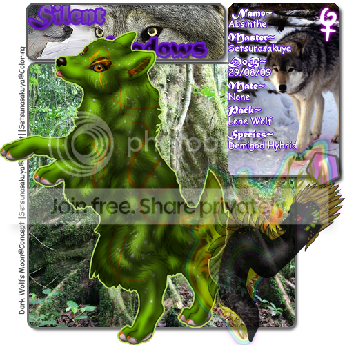 User Image
