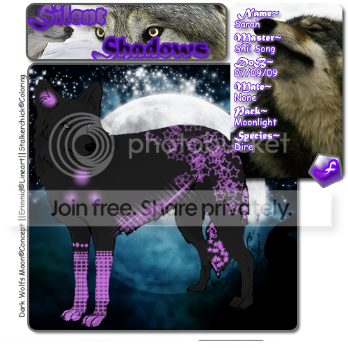User Image