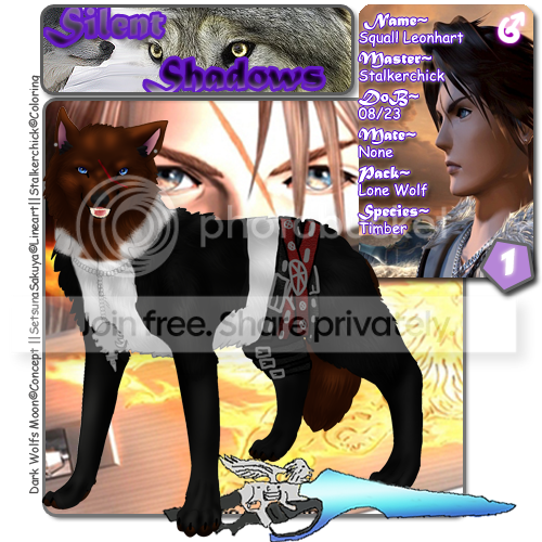 User Image