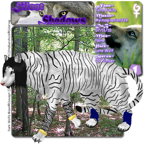 User Image